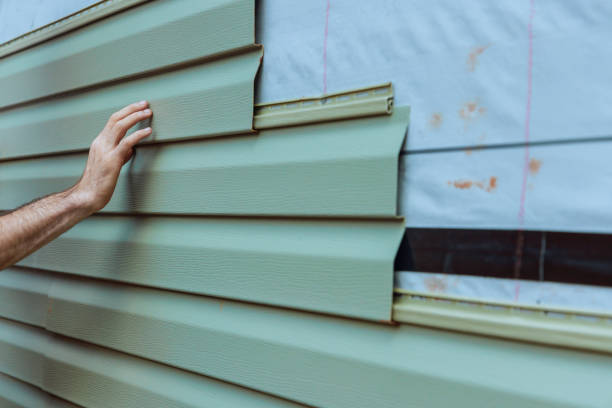 Best Aluminum Siding Installation  in Honey Grove, TX